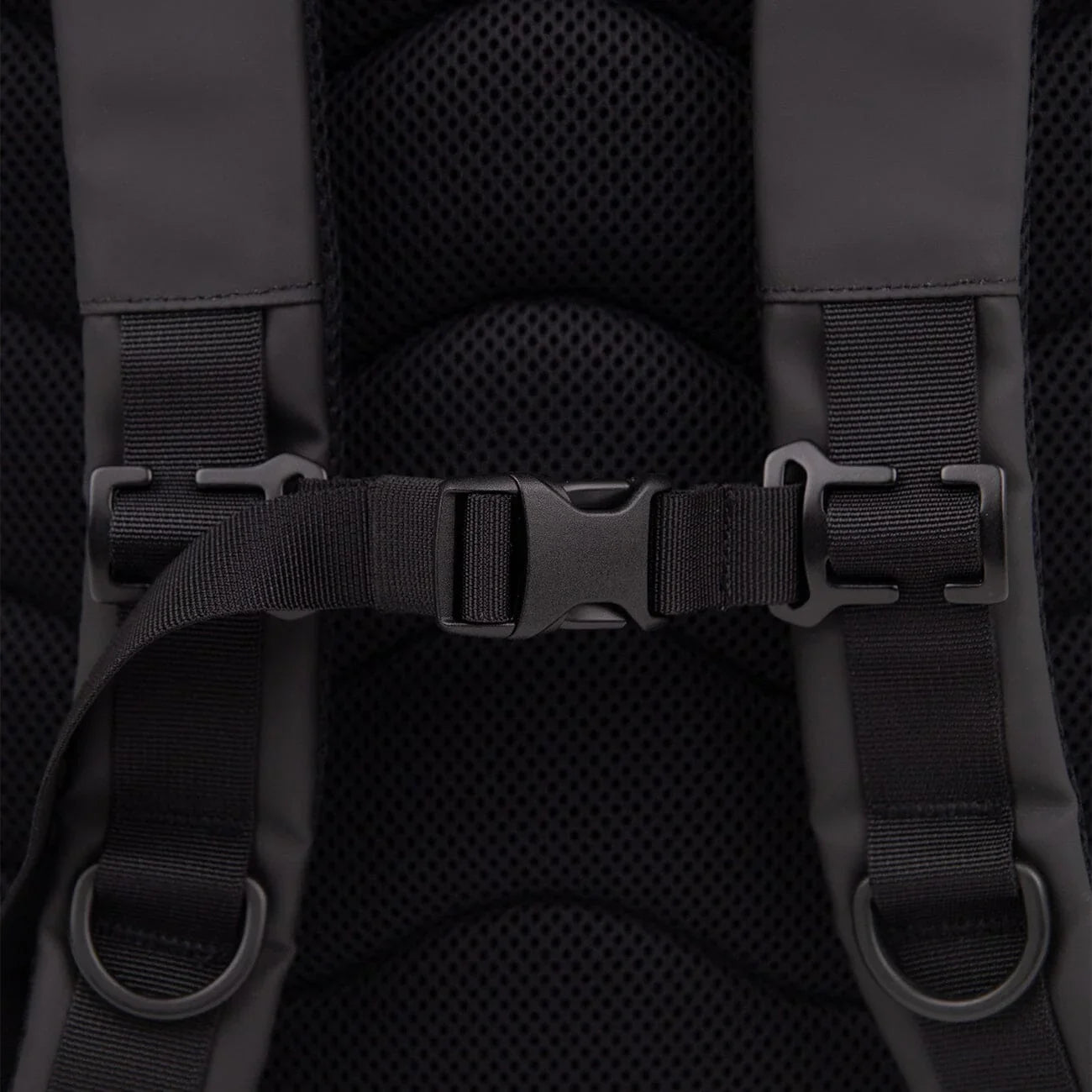 Stream Rolltop Backpack L