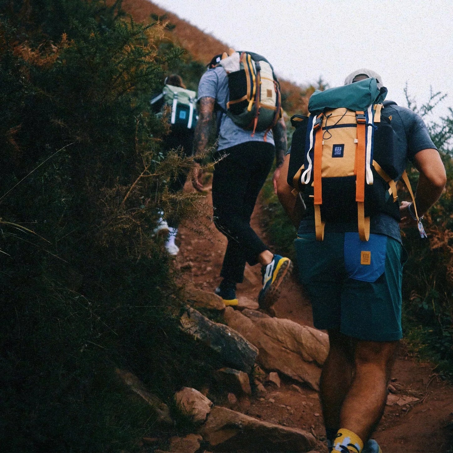 Rover Trail Pack 24L