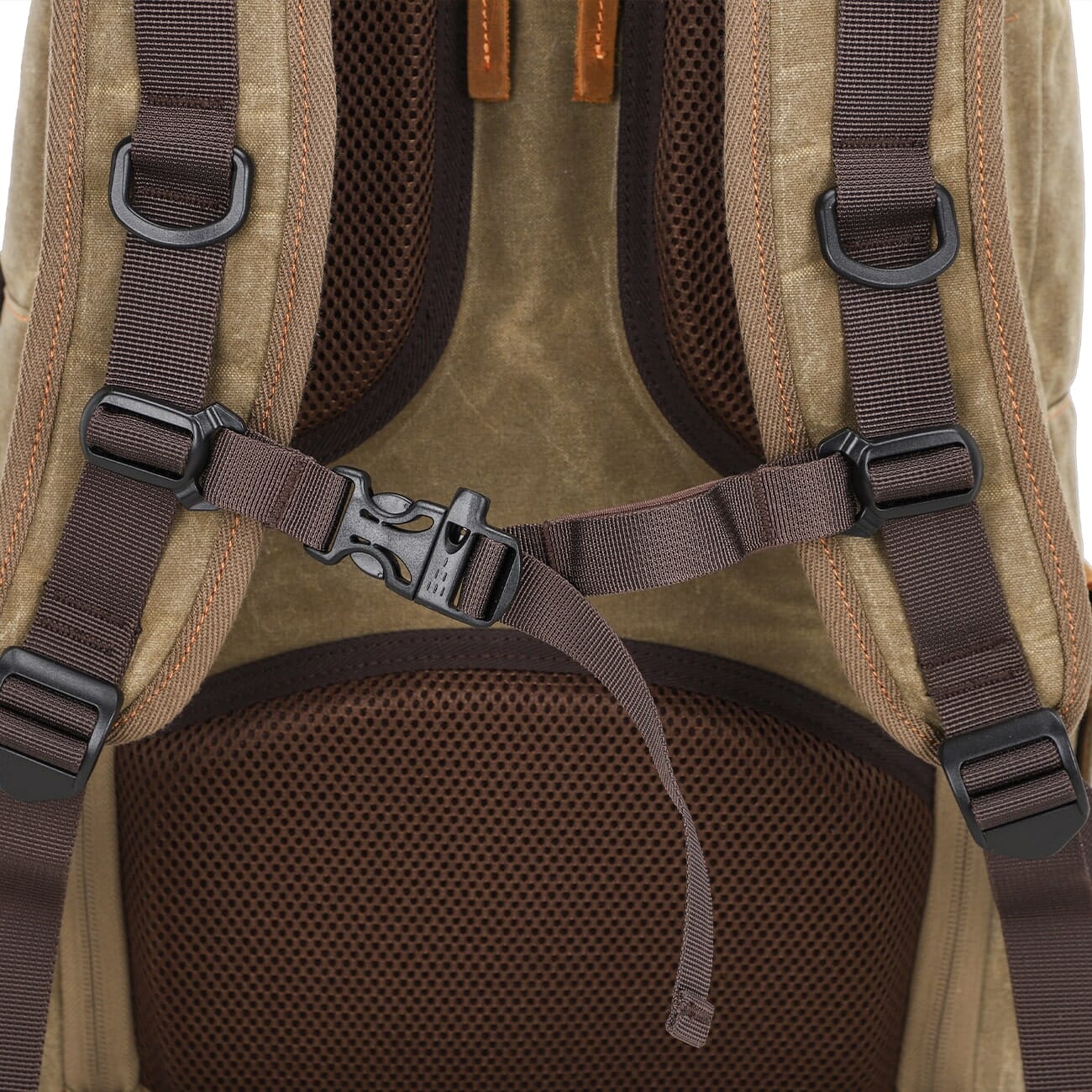Canvas Photography Backpack | GALAPAGOS